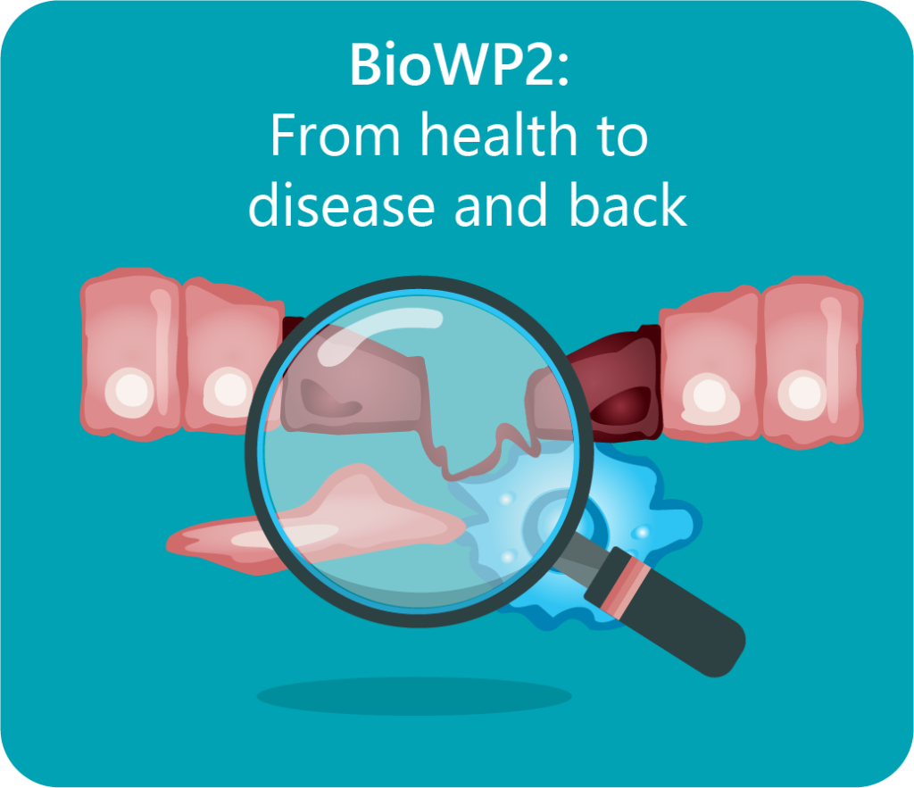 BioWP2: From Health to disease and back